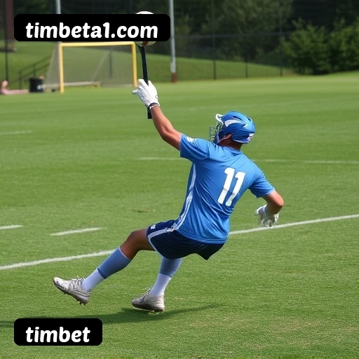 Vantagens exclusivas timbet para jogadores brasileiros - São Paulo, Rio, BH