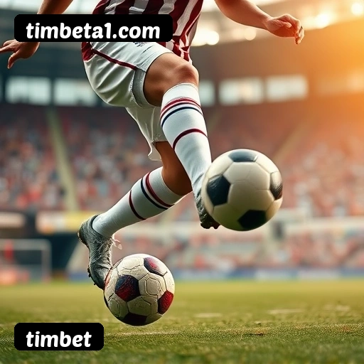 timbet segurança SSL 256-bit - Licença Curaçao, eCOGRA, GLI certificado